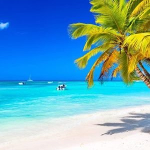 Punta Cana : Excursion en bateau à Isla Saona, Open Bar et Déjeuner Buffet