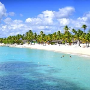 Excursion d'une journée sur l'île de Saona avec déjeuner au départ de Punta Cana
