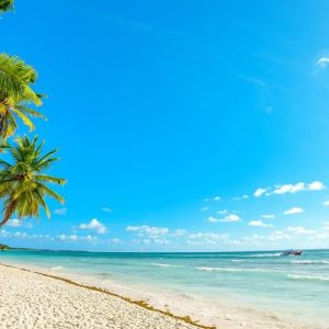 Samana: Cayo Levantado con trasporto incluso