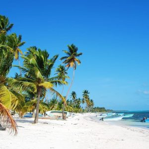 Île de Saona : Plages et piscine naturelle Croisière avec déjeuner