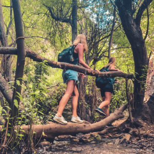 Punta Cana: Los Haitises Hike & Kayaking Mangroves
