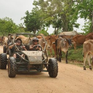 Bayahibe : Excursion en buggy avec la rivière Chavón et dégustation locale