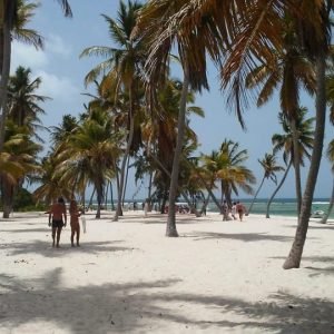Circuit des délices de l'île de Saona au départ de Punta Cana / Bavaro