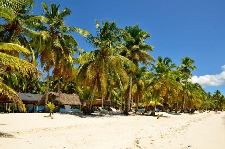 Saona Island From Punta Cana - Imagen 5