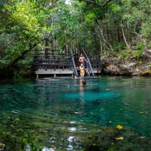Nager dans les Cenotes Ojos Indígenas