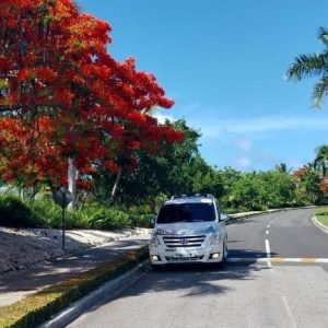 Private Transfer from PUJ to Excellence El Carmen