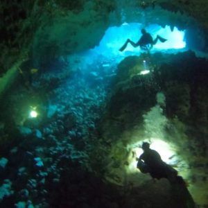 Bayahibe - Plongée sous-marine dans les cénotes - Godive Bayahibe