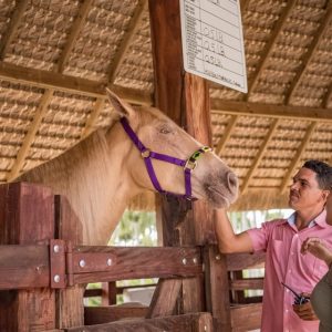 Punta Cana: Eco Park Safari Abenteuer