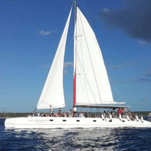 Île de Saona : Excursion en bateau d'une journée avec boissons et déjeuner buffet