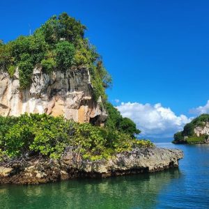 Las Terrenas : Los Haitises et l'île Bacardi (Cayo Levantado)
