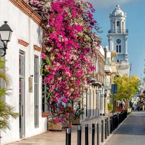 Excursion d'une journée à Saint-Domingue au départ de Punta Cana