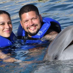 Ocean World Dolphin Swim & Sea Lion Combo from Puerto Plata