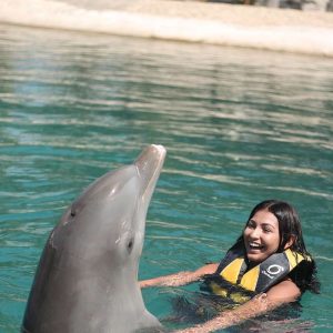 Nage avec les dauphins à Puerto Plata Ocean World