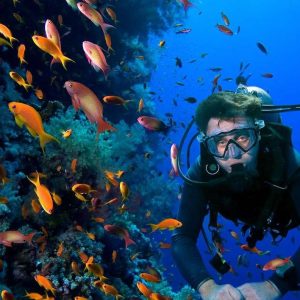 Plongée sous-marine à Sosua Cabarete