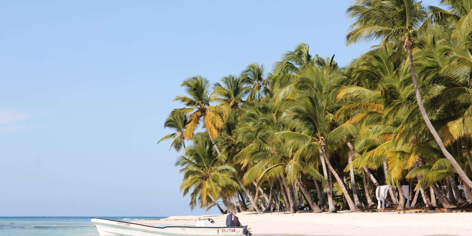 Punta Cana: Saona Island and Altos de Chavón Day Trip - Obrázek 3