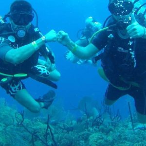 plonger sans licence île catalina depuis punta cana