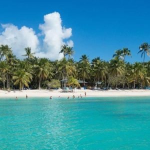 Excursion d'une journée tout compris sur l'île de Saona au départ de Punta Cana