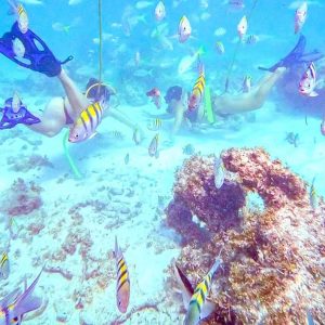 Punta Cana: Potápěčské dobrodružství s průvodcem