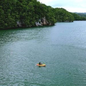 Samana: Private Los Haitises Expedition Höhlen & Mangroven