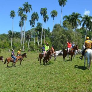 Expérience combinée à Puerto Plata : Tyrolienne + Équitation