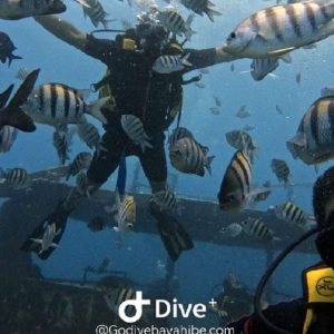 Bayahibe : Initiation à la plongée sous-marine - Godive Bayahibe