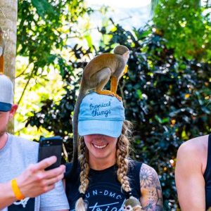 Samaná: Affenland und Open-Air-Safari-Truck-Tour