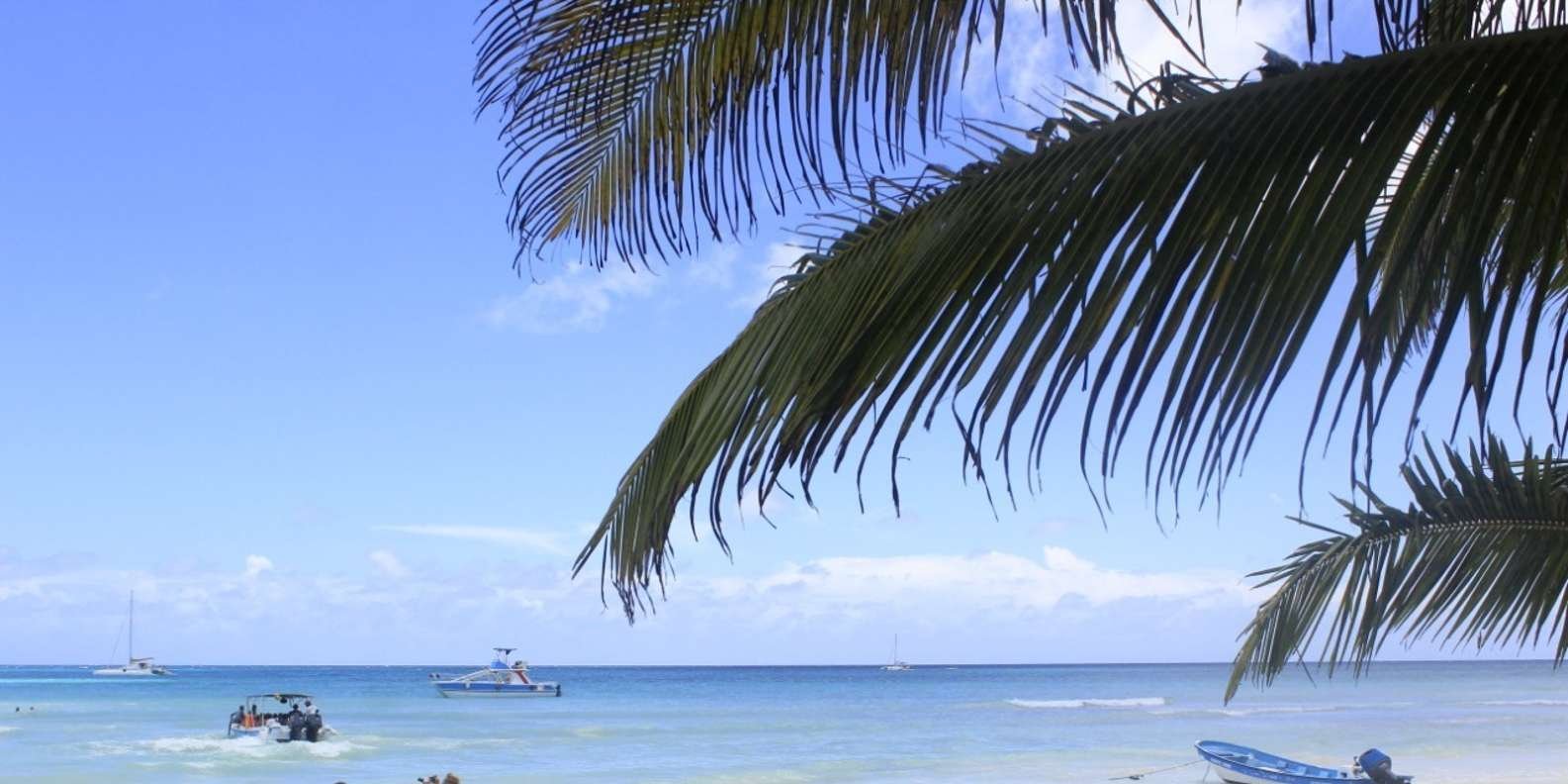 Punta Cana: Saona Island and Altos de Chavón Day Trip - Obrázek 5