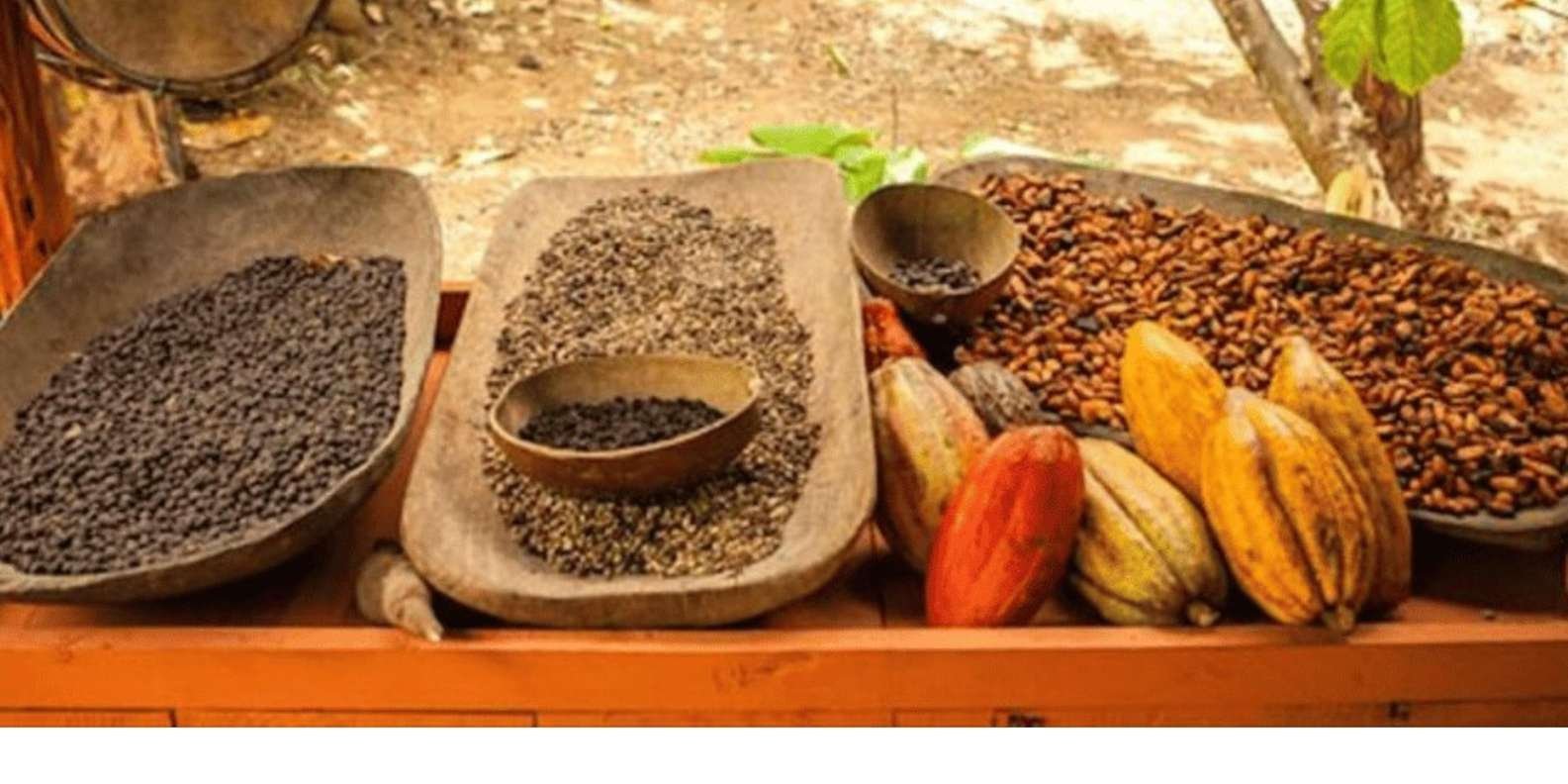 Asombrosa actividad en buggy por la playa de macao y cueva - Image 4