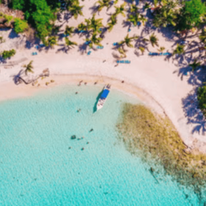 Depuis Punta Cana : Excursion d'une journée sur l'île de Saona avec repas et boissons