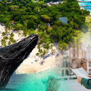 Observation des baleines + Cayo Levantado
