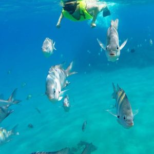Excursion de plongée avec tuba et journée à la plage de Sosua