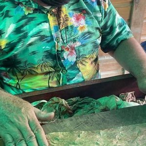 Immersion dans la culture dominicaine : Excursion d'une journée tout compris