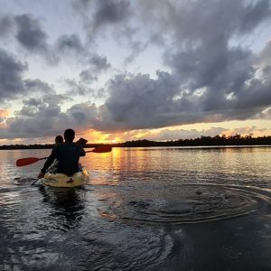 Caño Hondo : Los Haitises Excursion privée en kayak au lever ou au coucher du soleil avec des locaux