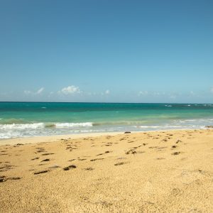 Komplette Samaná-Tour: Jackson Beach - Wandern, Flussfahrt und Schnorcheln ab La Majagua